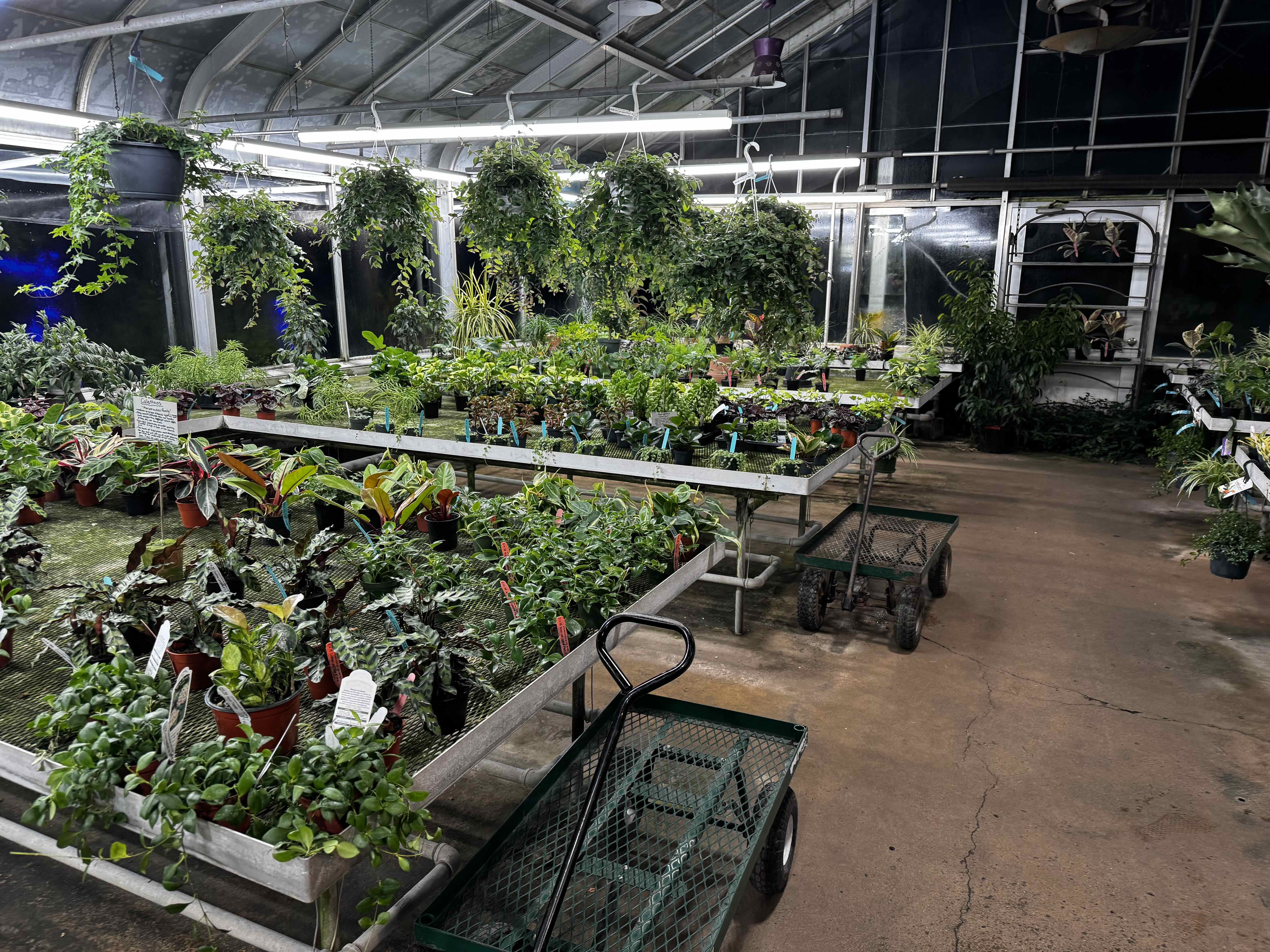 Greenhouse at Night_ Ott's Exotic Plants (Philadelphia Metro Area)